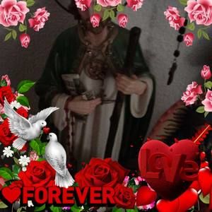 Meet your Posher, Lidia